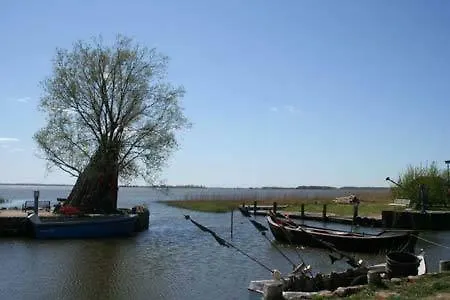 Ferienwohnungen Egon Schulz Zempin Extérieur photo